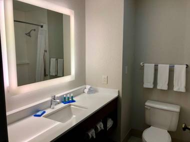 Holiday Inn Express Arlington Interstate 20 Parks Mall an IHG Hotel