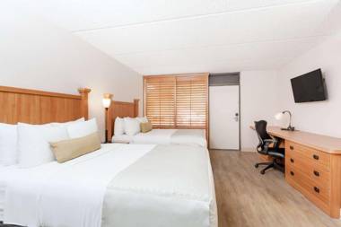 Wyndham Garden Hotel Austin