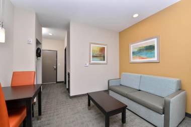 Holiday Inn Express & Suites Austin South an IHG Hotel
