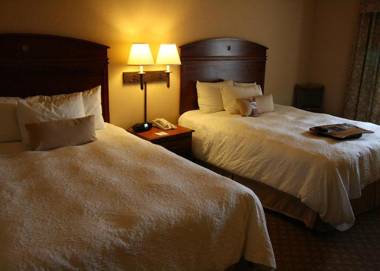 Hampton Inn and Suites-Brownsville