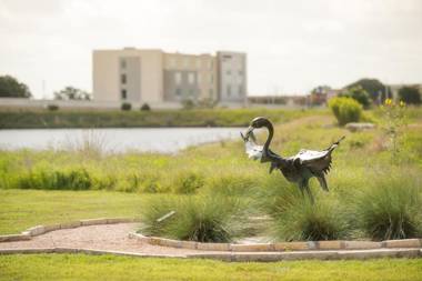 SpringHill Suites by Marriott Austin Cedar Park