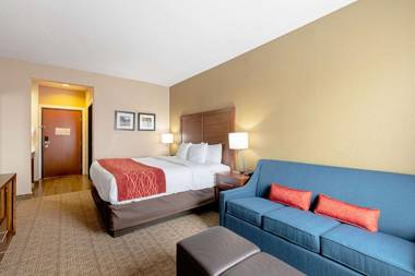 Comfort Inn and Suites Fredericksburg