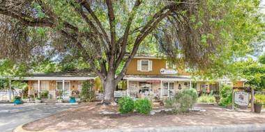 Binky's Summer Afternoon