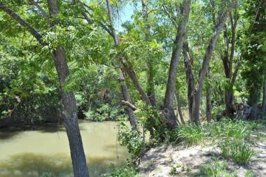 HR Cabin 3- The Little Bear Cabin