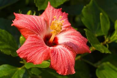 Casa Del Mar Beachfront Suites Onsite Team