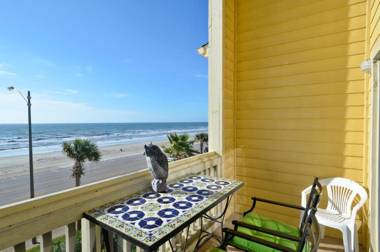 Dawn 1037-The Regal Seagull