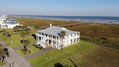 Beachfront Flamingo