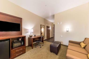 Comfort Suites Grand Prairie - Arlington North