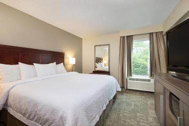 Hampton Inn Houston Near the Galleria