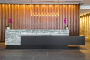 C. Baldwin Curio Collection by Hilton