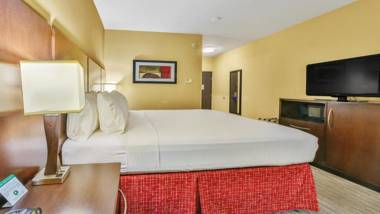 Holiday Inn Express & Suites Houston South - Near Pearland an IHG Hotel