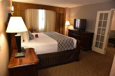 Wyndham Houston near NRG Park - Medical Center