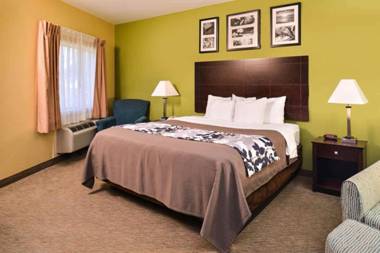 Sleep Inn and Suites Downtown Houston