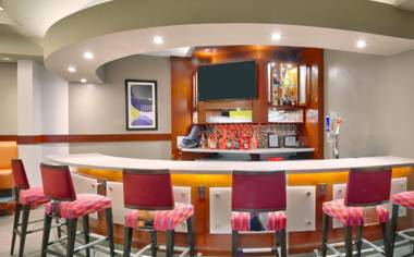 SpringHill Suites by Marriott Houston I-45 North