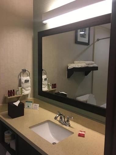 Best Western Premier Ashton Suites - Willowbrook