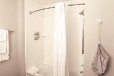 Holiday Inn Express & Suites - Houston IAH - Beltway 8 an IHG Hotel