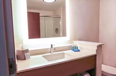 Holiday Inn Express & Suites - Houston IAH - Beltway 8 an IHG Hotel