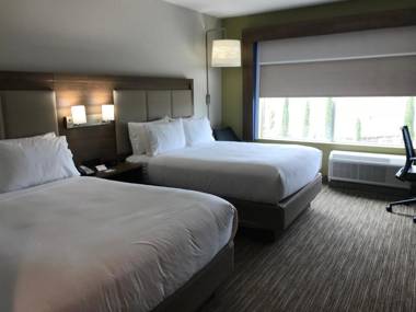 Holiday Inn Express & Suites Houston Southwest Galleria Area an IHG Hotel