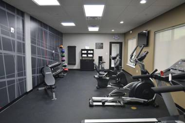 Best Western Plus Houston I-45 North Inn & Suites