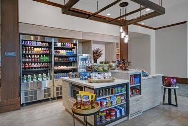 Hilton Garden Inn Houston Medical Center TX