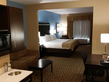 Holiday Inn Express and Suites Atascocita - Humble - Kingwood an IHG Hotel