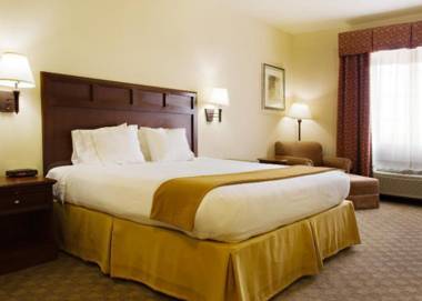 Holiday Inn Express Hotel & Suites Levelland