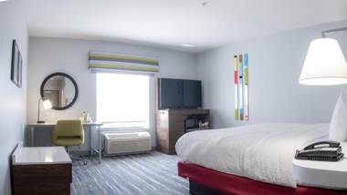 Hampton Inn and Suites Dallas/Lewisville-Vista Ridge Mall