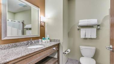 Holiday Inn Express & Suites Lubbock Southwest – Wolfforth an IHG Hotel