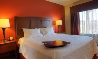 Hampton Inn & Suites McAllen