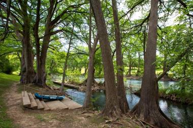 Dreams and Streams WW H303