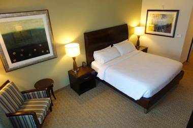 Hilton Garden Inn Houston-Pearland