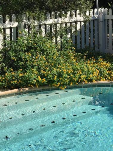 The Plantation House Boutique Inn