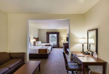 Comfort Suites San Antonio North - Stone Oak