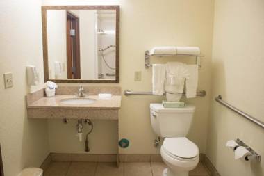 Best Western Plus San Antonio East Inn & Suites