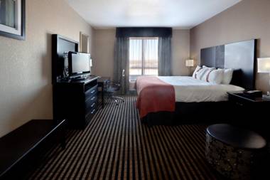 Holiday Inn San Antonio North Stone Oak Area an IHG Hotel