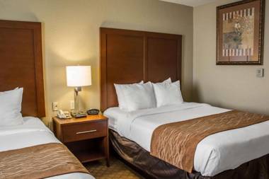 Comfort Suites Sea World/ Lackland