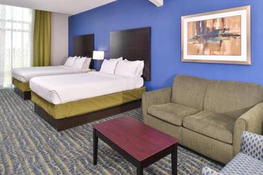 Holiday Inn Express & Suites San Antonio South