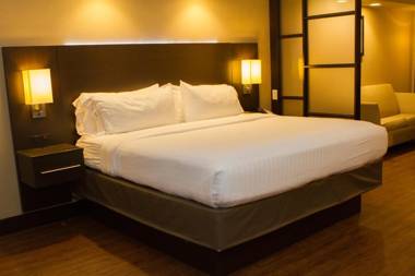Holiday Inn Express & Suites San Antonio Medical Center North an IHG Hotel