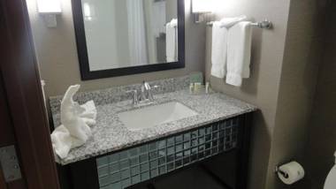 Holiday Inn Hotel & Suites Northwest San Antonio an IHG Hotel