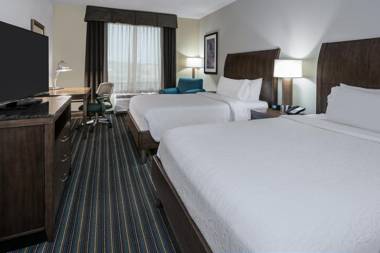 Hilton Garden Inn San Antonio/Rim Pass Drive