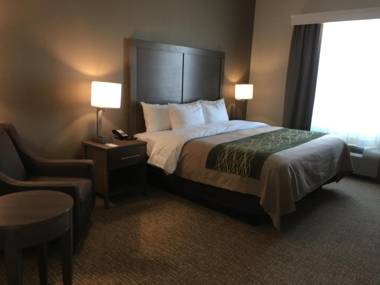 Comfort Inn & Suites Snyder