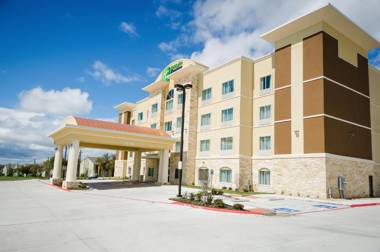 Holiday Inn Express Hotel & Suites Temple-Medical Center Area an IHG Hotel