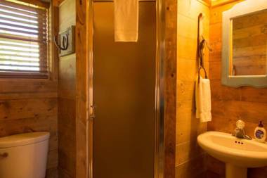 Cozy 1 BR with a Pullout Sofa bed and Kitchenette