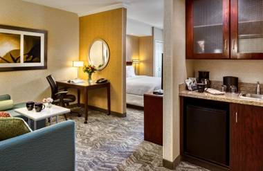 SpringHill Suites by Marriott Salt Lake City Downtown