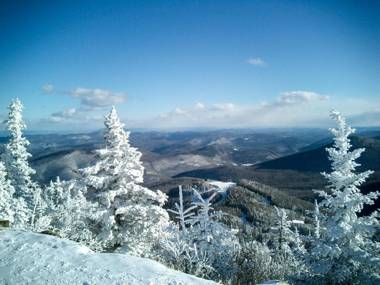 Winterberry Townhouse #4