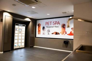 Top Of The Line High-Rise Luxurious Loft