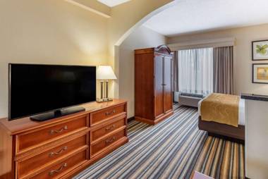 Comfort Suites Chesapeake - Norfolk