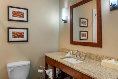 Comfort Inn South Chesterfield - Colonial Heights