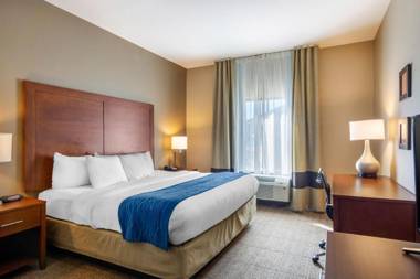 Comfort Inn South Chesterfield - Colonial Heights