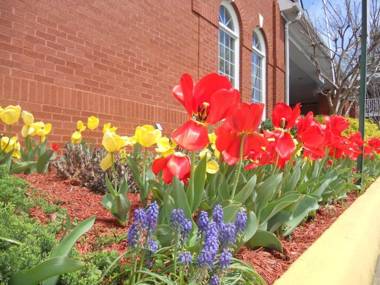 Best Western Fredericksburg